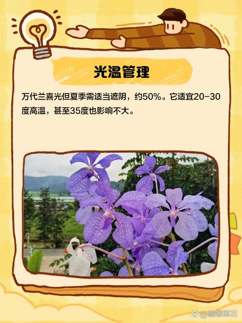 新买的万代兰怎么养，万代兰的养殖方法和注意事项？-第8张图片-优品飞百科