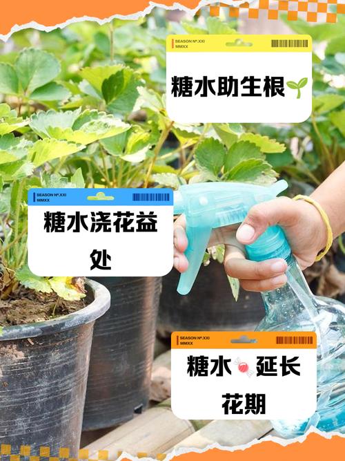用这“3种”水来浇花，用啥水浇花长得旺？-第4张图片-优品飞百科