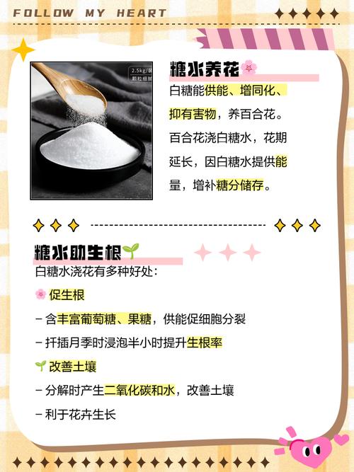 用这“3种”水来浇花，用啥水浇花长得旺？-第5张图片-优品飞百科