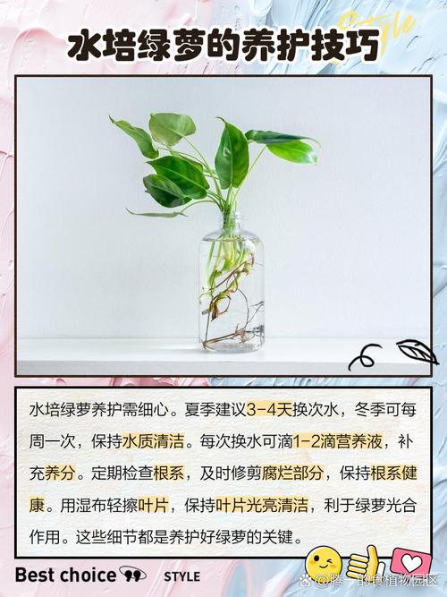 绿萝缺水怎么补救，绿萝缺水蔫了浇水还能活么
