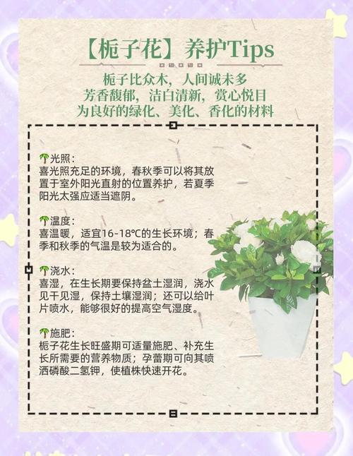 栀子花喜酸还是喜碱，栀子花喜酸性土壤吗？-第4张图片-优品飞百科