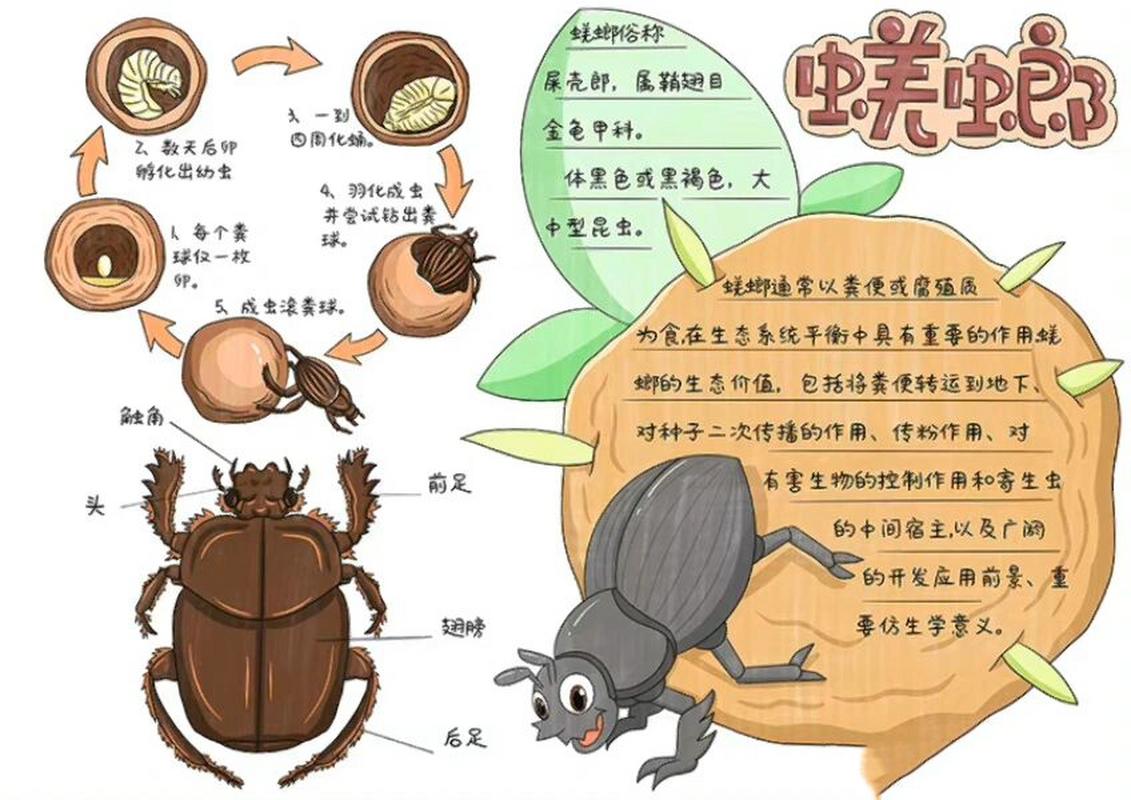 铁甲球繁殖方法，铁甲丸种子怎么播种？-第4张图片-优品飞百科
