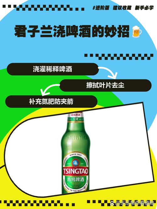 兰花可以用啤酒浇吗，兰花可以用啤酒喷吗-第4张图片-优品飞百科