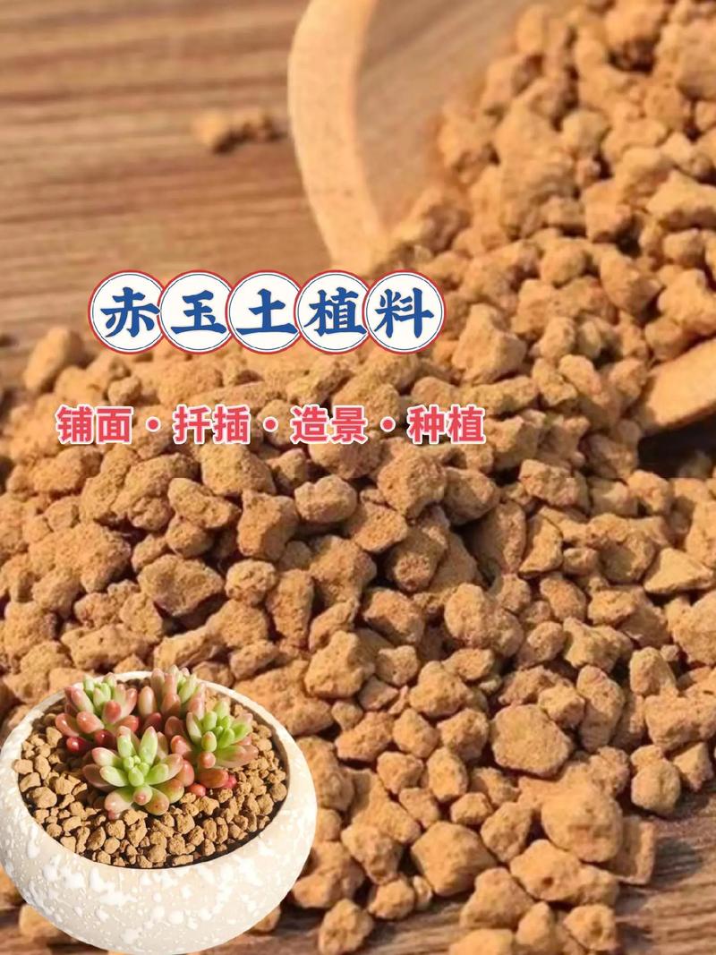 赤玉土怎么用，赤玉土用法-第5张图片-优品飞百科