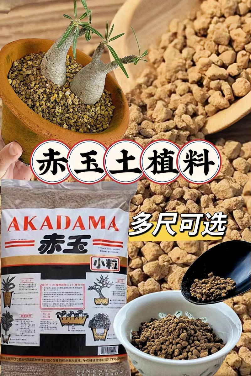 赤玉土怎么用，赤玉土用法-第6张图片-优品飞百科