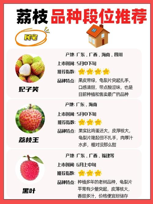 荔枝吃完核别丢,荔枝的核吃了会怎样-第2张图片-优品飞百科 荔枝吃完核别丢,荔枝的核吃了会怎样-第2张图片-优品飞百科