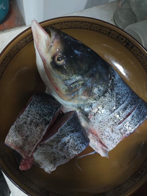 给花喝口“鲜鱼汤”，花鱼汤的作用-第3张图片-优品飞百科