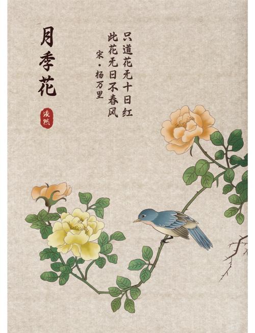 月季开1次就停，月季花只开一次-第2张图片-优品飞百科