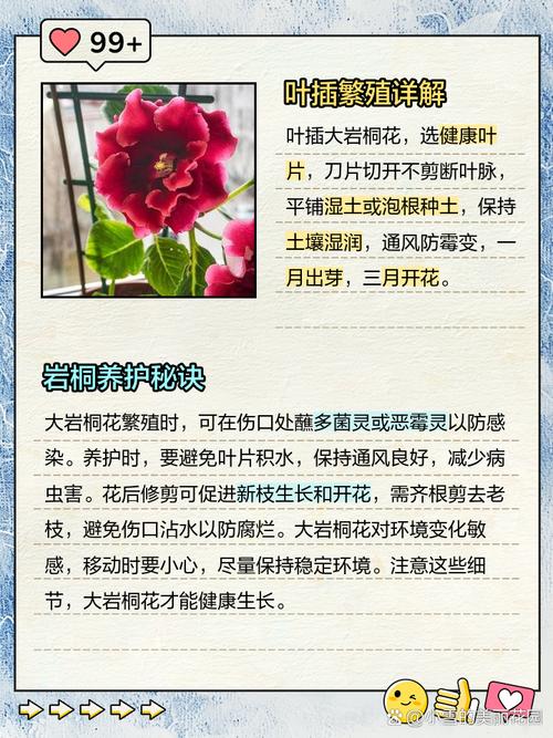 大岩桐开花前的养护，大岩桐开花前的养护方法-第2张图片-优品飞百科