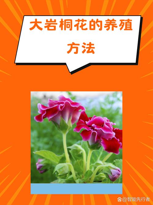 大岩桐开花前的养护，大岩桐开花前的养护方法-第3张图片-优品飞百科