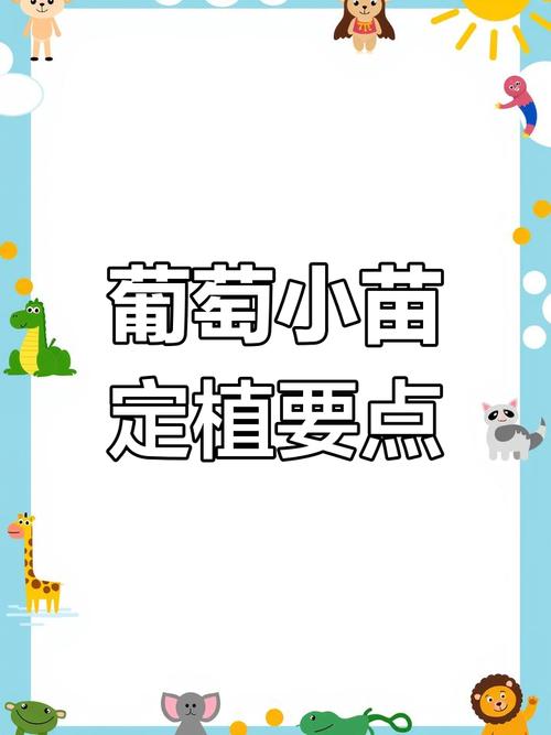 葡萄的种植方法和技术，巨峰葡萄的种植方法和技术-第4张图片-优品飞百科