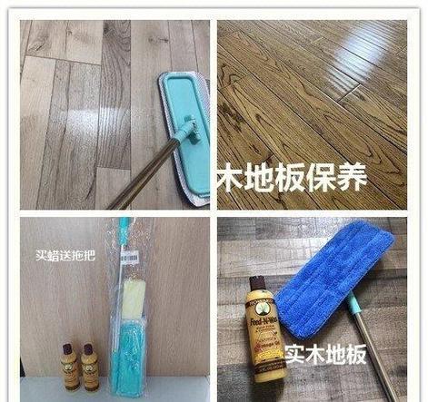 亚蜡木怎么换盆，蜡木好不好？-第2张图片-优品飞百科