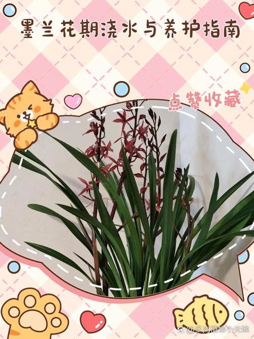 墨兰种子怎么种，墨兰的种子要多久成熟？-第4张图片-优品飞百科