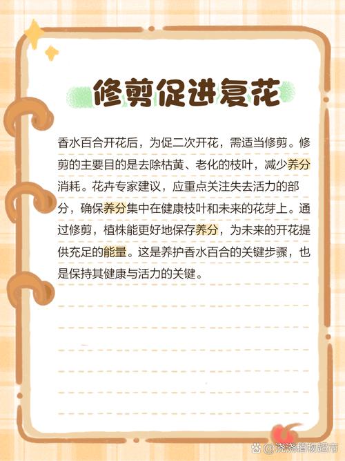 香水百合花谢后怎么办？香水百合谢花后咋办？