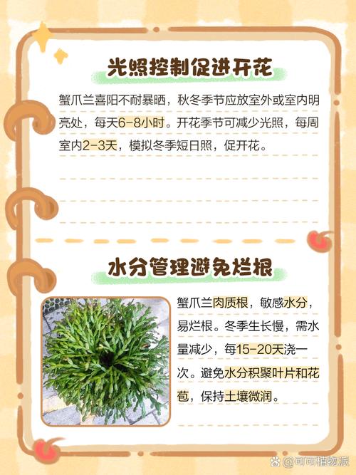 蟹爪兰“冬天”养，蟹爪兰冬天好养活吗-第2张图片-优品飞百科