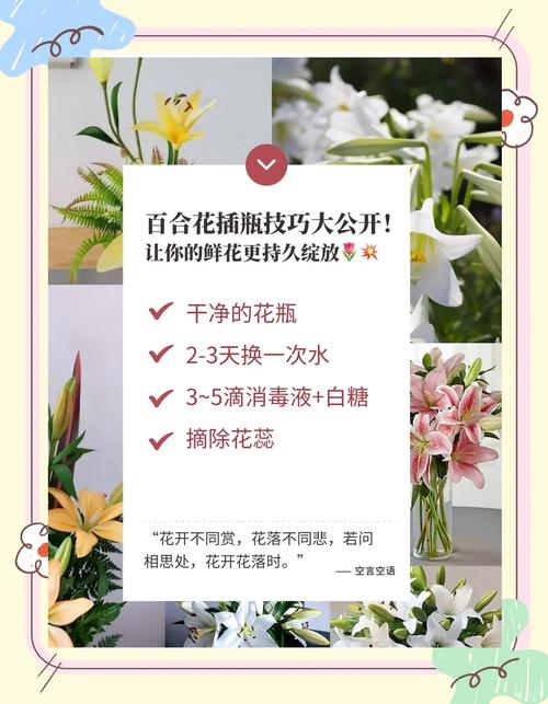 百合花怎么养才不死，百合花怎么养才不会枯萎