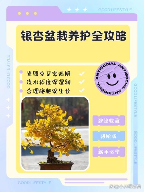 银杏换盆注意事项，银杏换盆注意事项有哪些？-第3张图片-优品飞百科