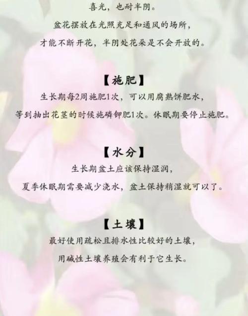 荷包花怎么浇水？荷包花施什么肥？-第2张图片-优品飞百科