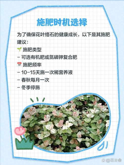 花叶络石怎么养,花叶络石怎么养叶子才会红?-第7张图片-优品飞百科 花叶络石怎么养,花叶络石怎么养叶子才会红?-第7张图片-优品飞百科