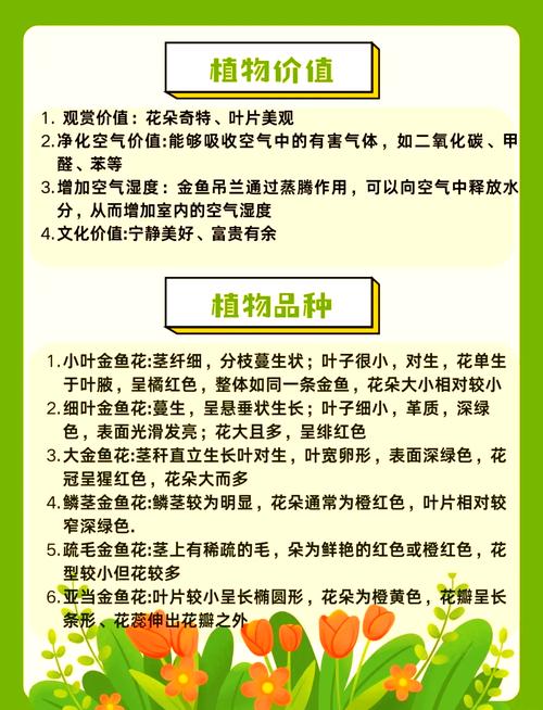 吊兰怎么换盆，刚买回来的金鱼吊兰怎么换盆？-第2张图片-优品飞百科