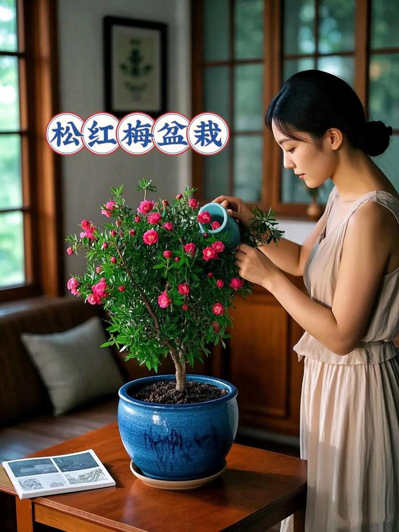 如何使梅花在元旦开花，梅花怎么才能到过年开花-第4张图片-优品飞百科