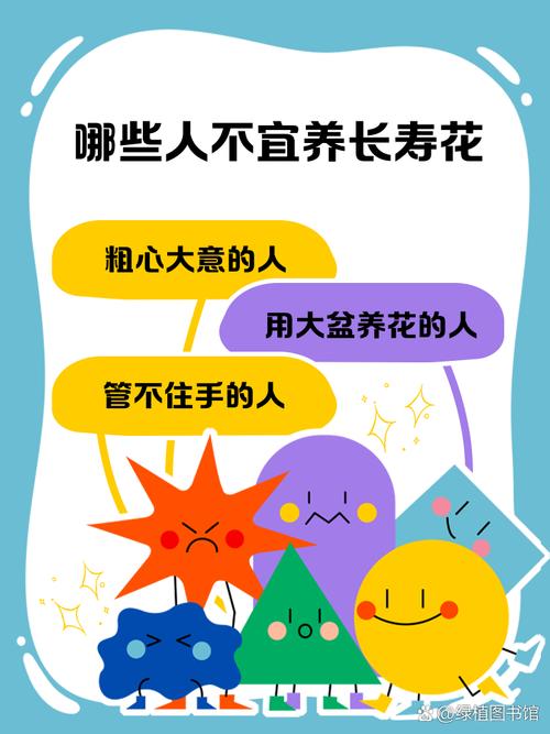 不会养长寿花，长寿花不旺盛怎样养殖-第6张图片-优品飞百科