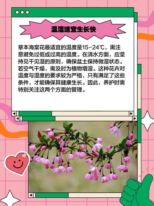 海棠的养殖方法和注意事项，夫妻海棠的养殖方法和注意事项？