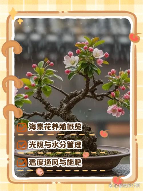 海棠的养殖方法和注意事项，夫妻海棠的养殖方法和注意事项？-第6张图片-优品飞百科