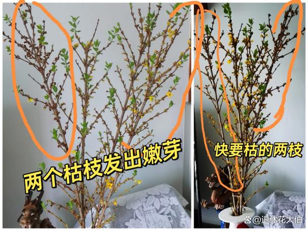 这“3种”水？这3种水果别吃了!咳嗽上火找上门？-第2张图片-优品飞百科