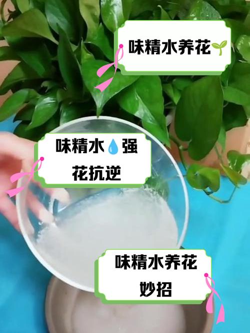 网上传的“浇花水”，浇花水是什么意思