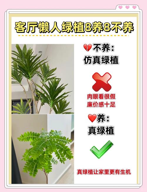 虎皮兰不用买，虎皮兰需要肥料吗-第3张图片-优品飞百科