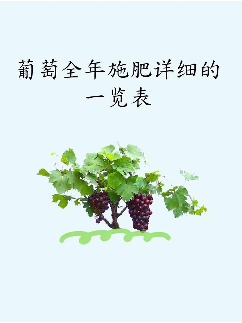 葡萄开花怎么处理，葡萄开完花后怎么修剪-第2张图片-优品飞百科