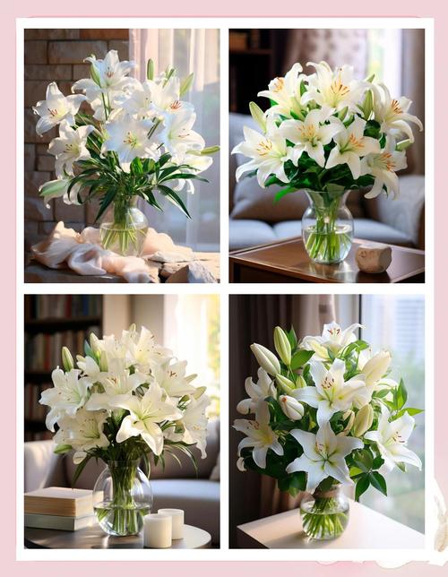 百合要怎么养，百合要怎么养才长得好