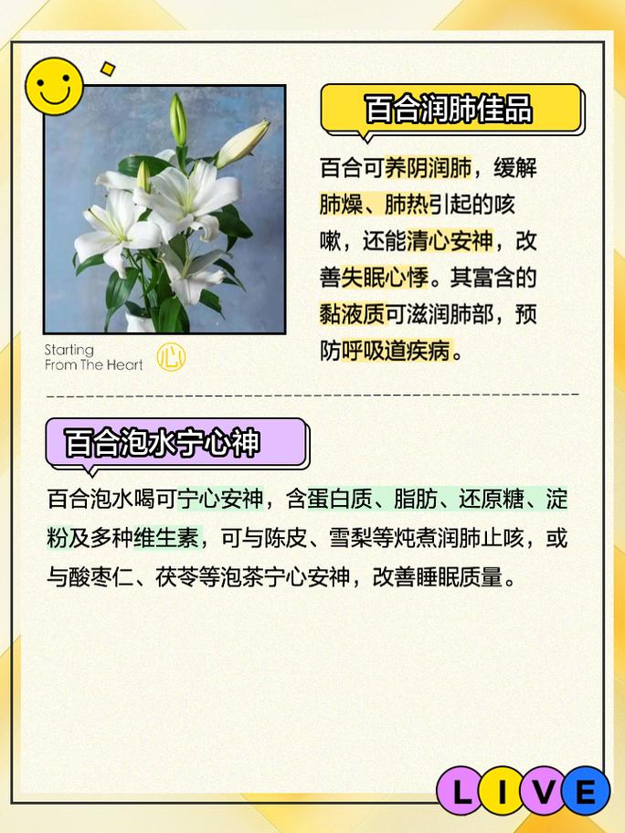 百合要怎么养，百合要怎么养才长得好-第5张图片-优品飞百科