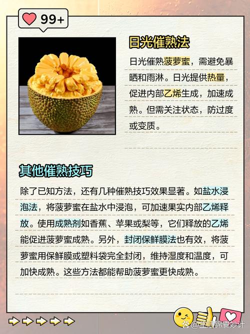 没熟的菠萝蜜怎么催熟，没熟的菠萝蜜怎么处理？