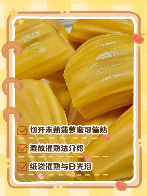 没熟的菠萝蜜怎么催熟，没熟的菠萝蜜怎么处理？-第2张图片-优品飞百科
