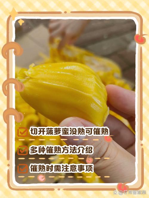 没熟的菠萝蜜怎么催熟，没熟的菠萝蜜怎么处理？-第4张图片-优品飞百科