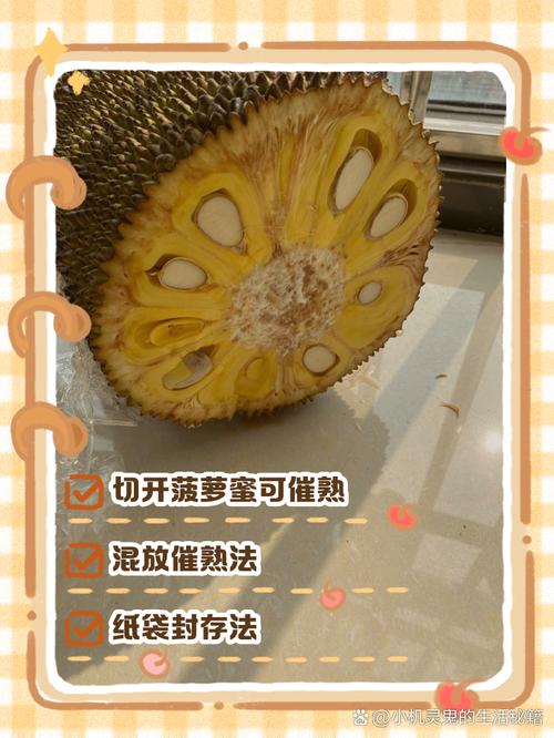 没熟的菠萝蜜怎么催熟，没熟的菠萝蜜怎么处理？-第5张图片-优品飞百科