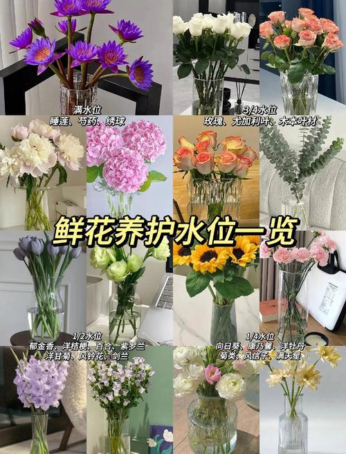 冬季鲜花养护的方法？冬季鲜花养护的方法有哪些？