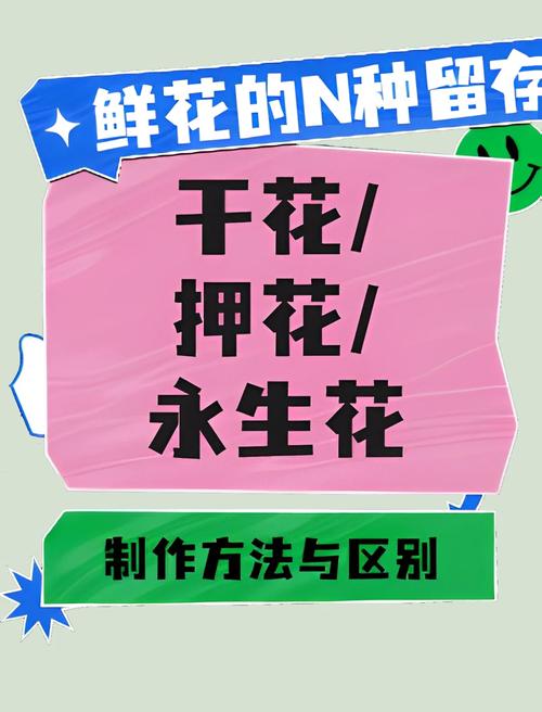 冬季鲜花养护的方法?冬季鲜花养护的方法有哪些?-第2张图片-优品飞百科 冬季鲜花养护的方法?冬季鲜花养护的方法有哪些?-第2张图片-优品飞百科