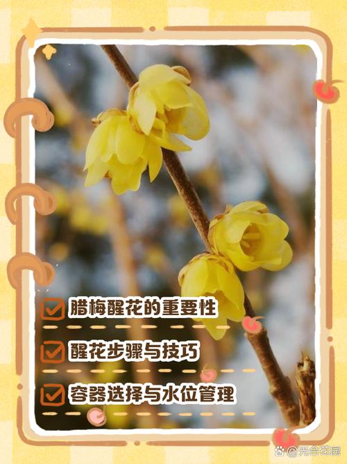 冬季鲜花养护的方法?冬季鲜花养护的方法有哪些?-第4张图片-优品飞百科 冬季鲜花养护的方法?冬季鲜花养护的方法有哪些?-第4张图片-优品飞百科