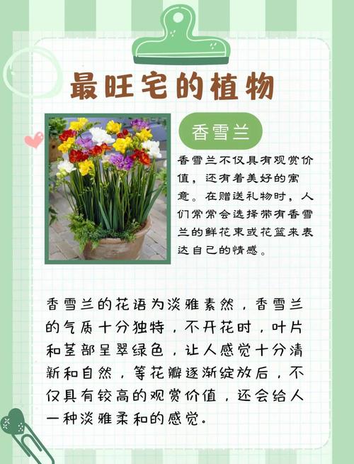 冬季鲜花养护的方法?冬季鲜花养护的方法有哪些?-第5张图片-优品飞百科 冬季鲜花养护的方法?冬季鲜花养护的方法有哪些?-第5张图片-优品飞百科