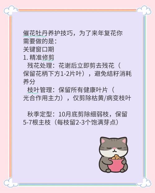 冬季鲜花养护的方法?冬季鲜花养护的方法有哪些?-第6张图片-优品飞百科 冬季鲜花养护的方法?冬季鲜花养护的方法有哪些?-第6张图片-优品飞百科