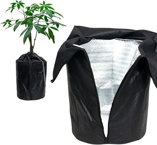 给花套个塑料袋，给花套个塑料袋好吗-第4张图片-优品飞百科