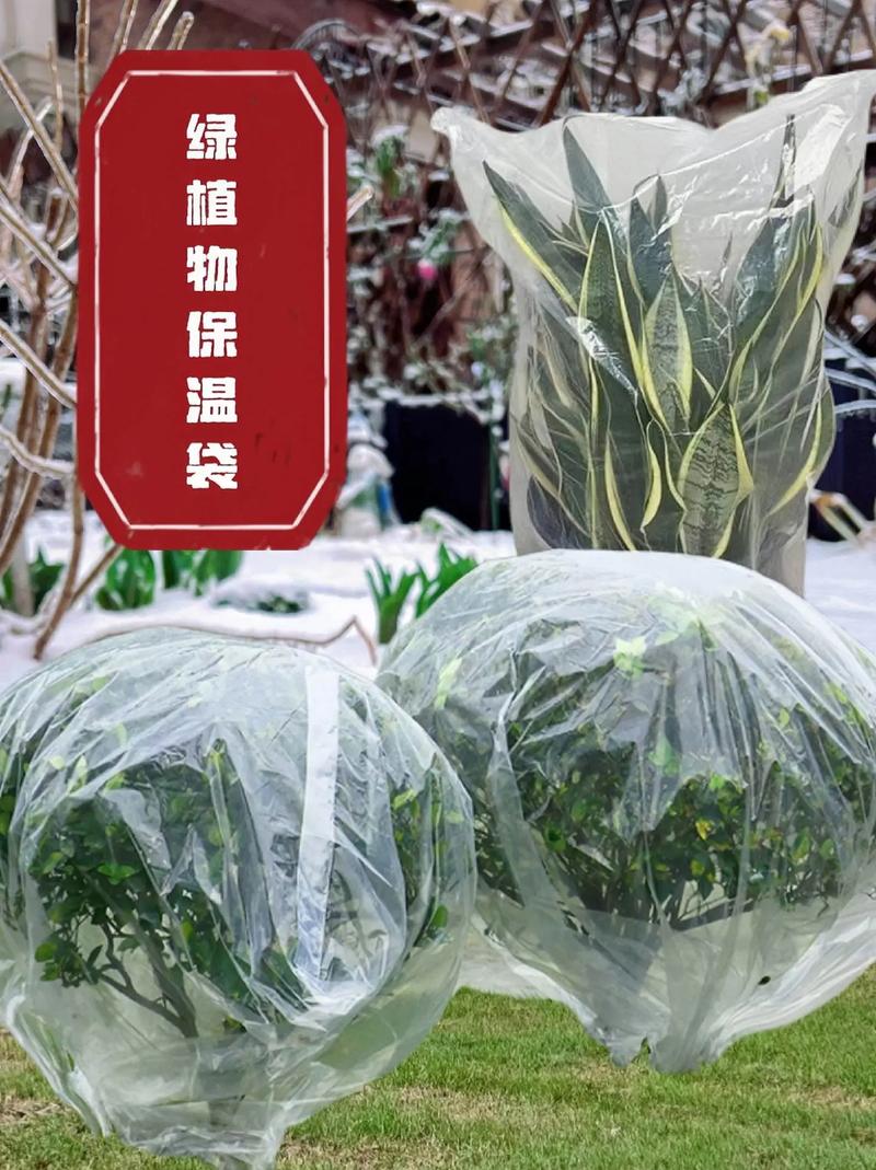 给花套个塑料袋，给花套个塑料袋好吗-第8张图片-优品飞百科