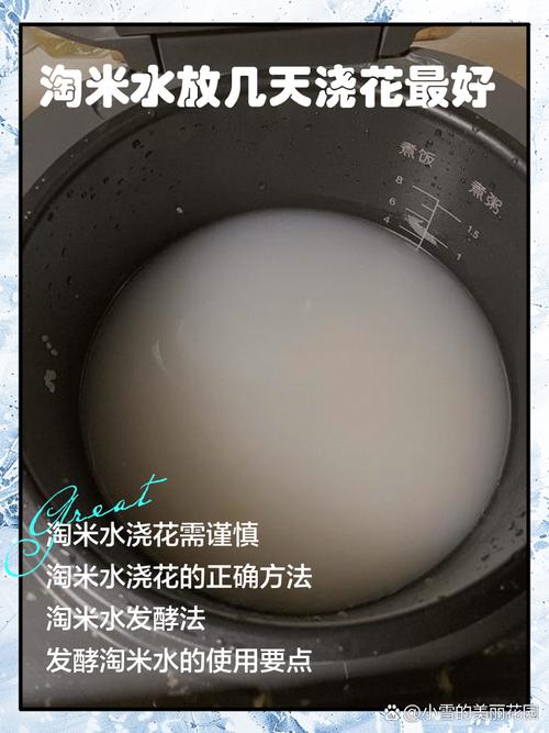 这种“水”在家就能做，如何制作徦水