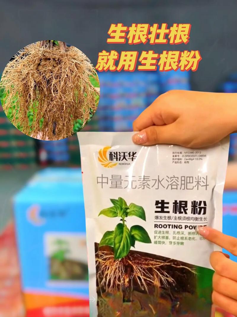 这种“水”在家就能做,如何制作徦水-第3张图片-优品飞百科 这种“水”在家就能做,如何制作徦水-第3张图片-优品飞百科