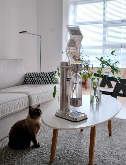 这种“水”在家就能做,如何制作徦水-第4张图片-优品飞百科 这种“水”在家就能做,如何制作徦水-第4张图片-优品飞百科