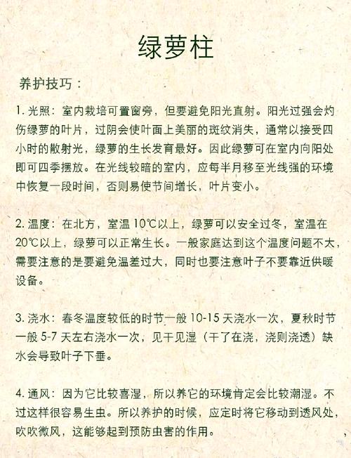 绿萝是喜阴还是喜阳，绿萝是喜阴还是喜阳光？-第5张图片-优品飞百科