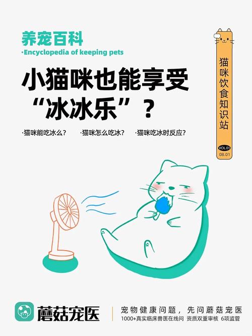 40℃高温的夏天，夏日的高温让我彻底明白了